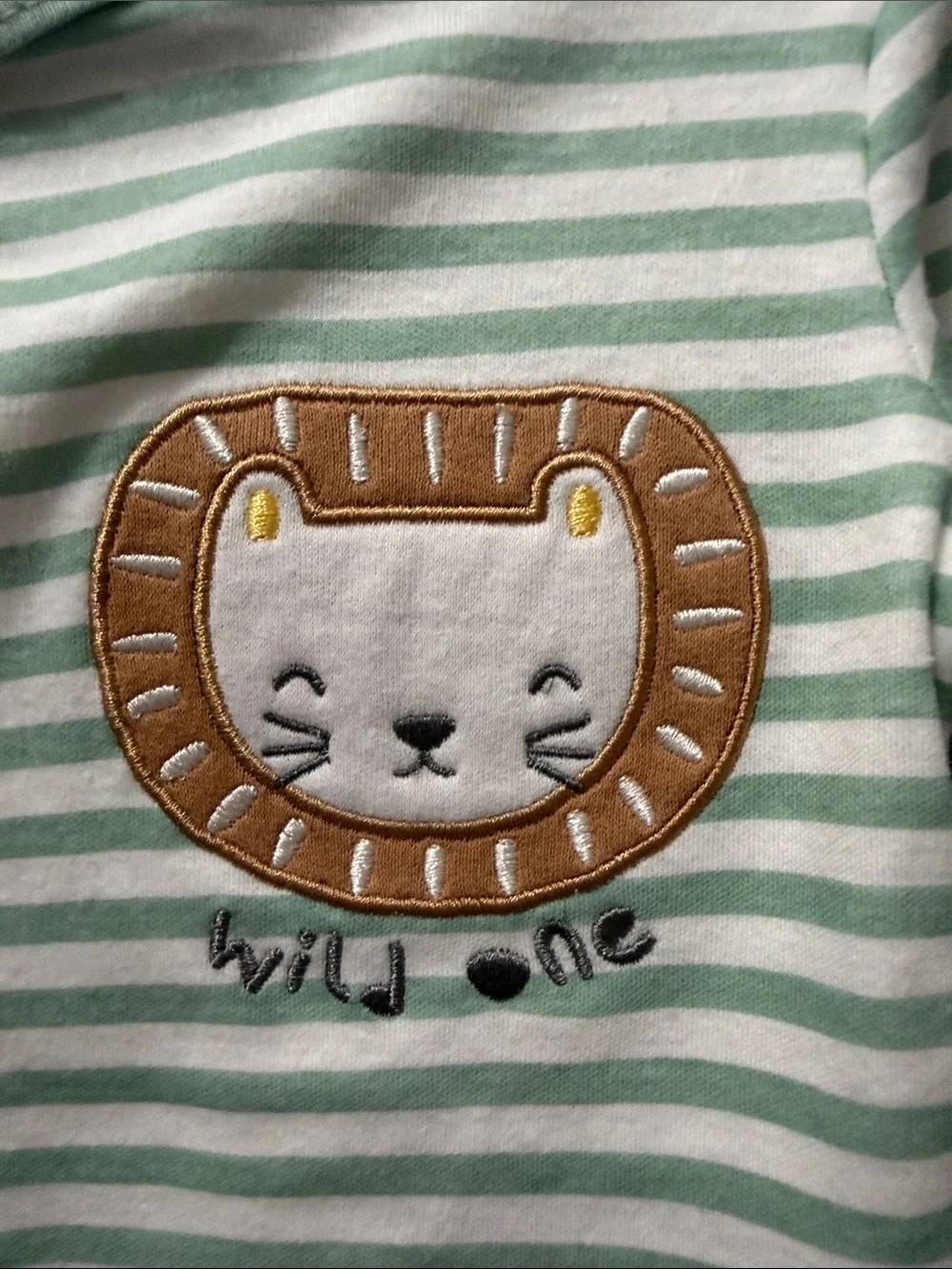 Striped Mint & White Toddler Pajama Set with Lion Applique